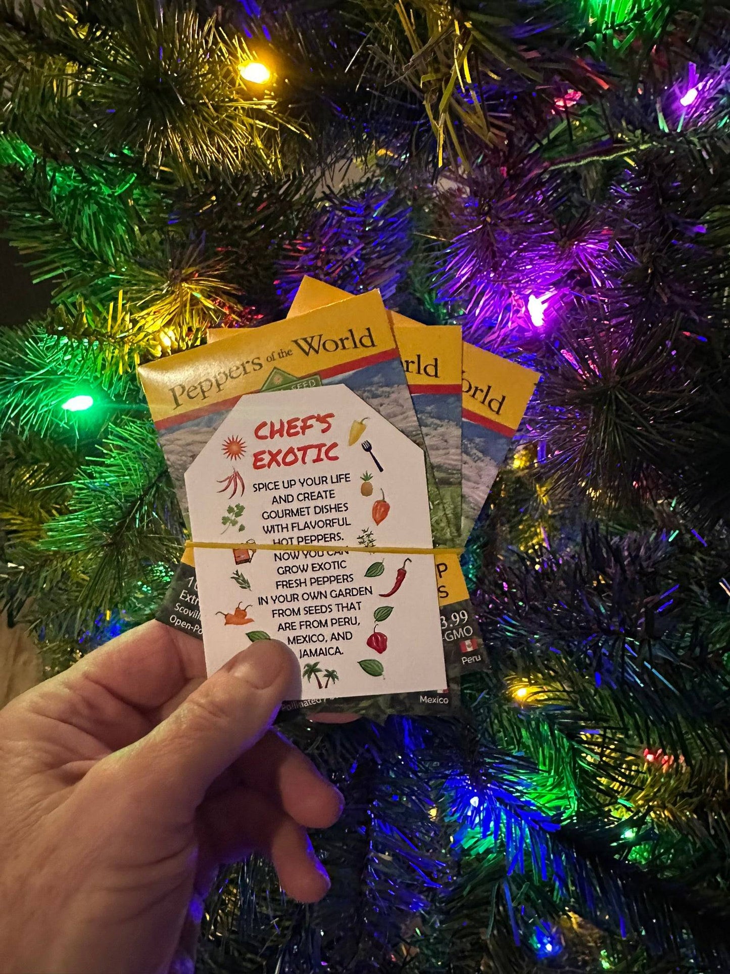 Hand holding Chef's Exotic Flavor Pepper Seeds 3-Pack in front of a decorated Christmas tree, ideal as a gourmet gardening gift.