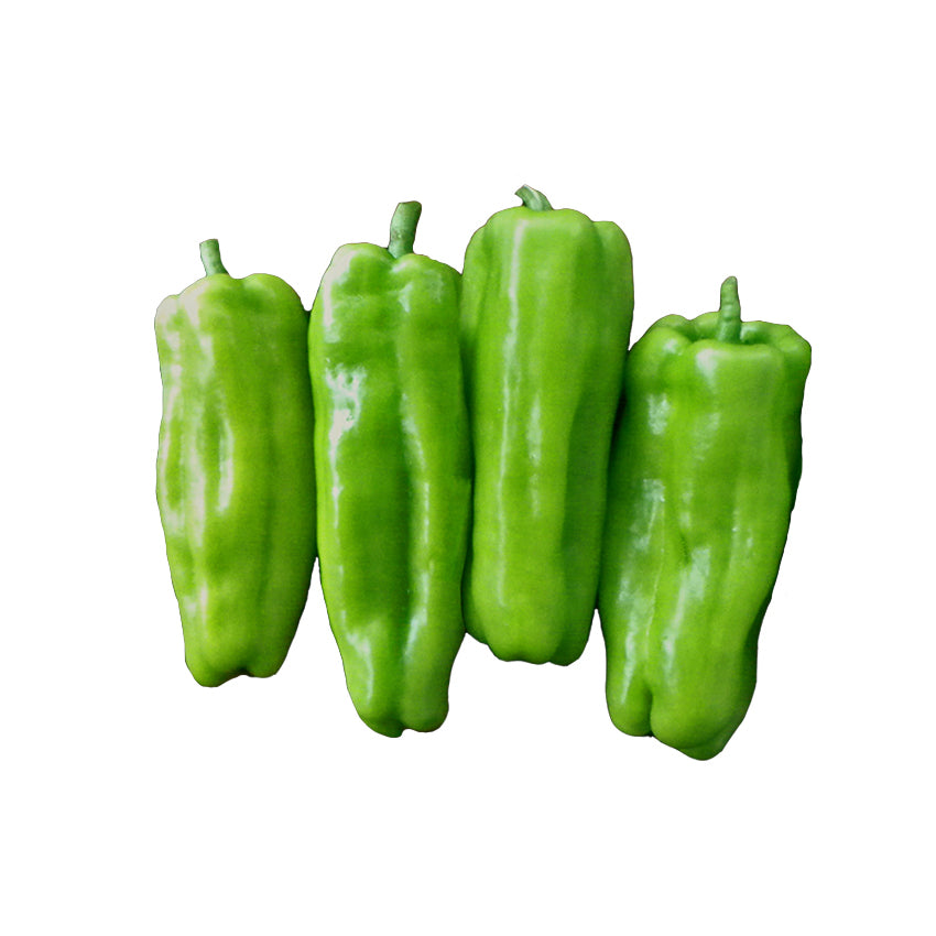 Cubanelle Sweet Pepper Seeds - Popular Italian Frying Pepper showing four fresh green heirloom peppers ideal for cooking and home gardening.