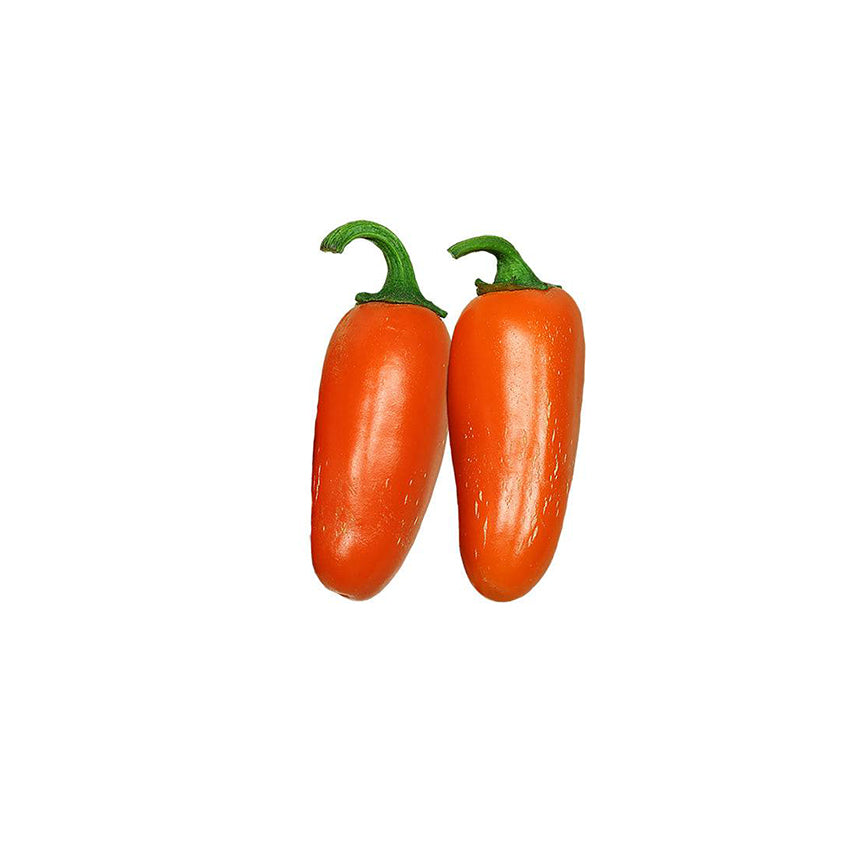 Jalapeño Orange Spice NuMex Seeds - Ultra-Hot and Flavorful
