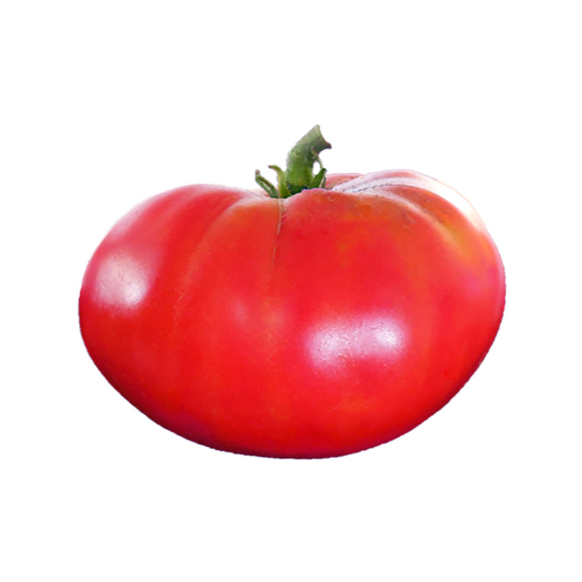 Mortgage Lifter Tomato Seeds - Huge Tasty Beefsteak - Heirloom