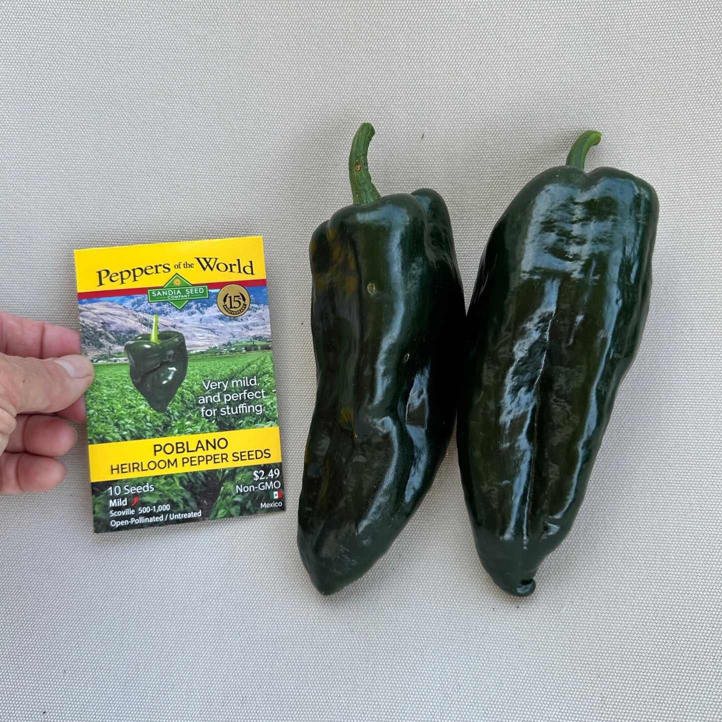 Poblano - Heirloom Pepper Seeds