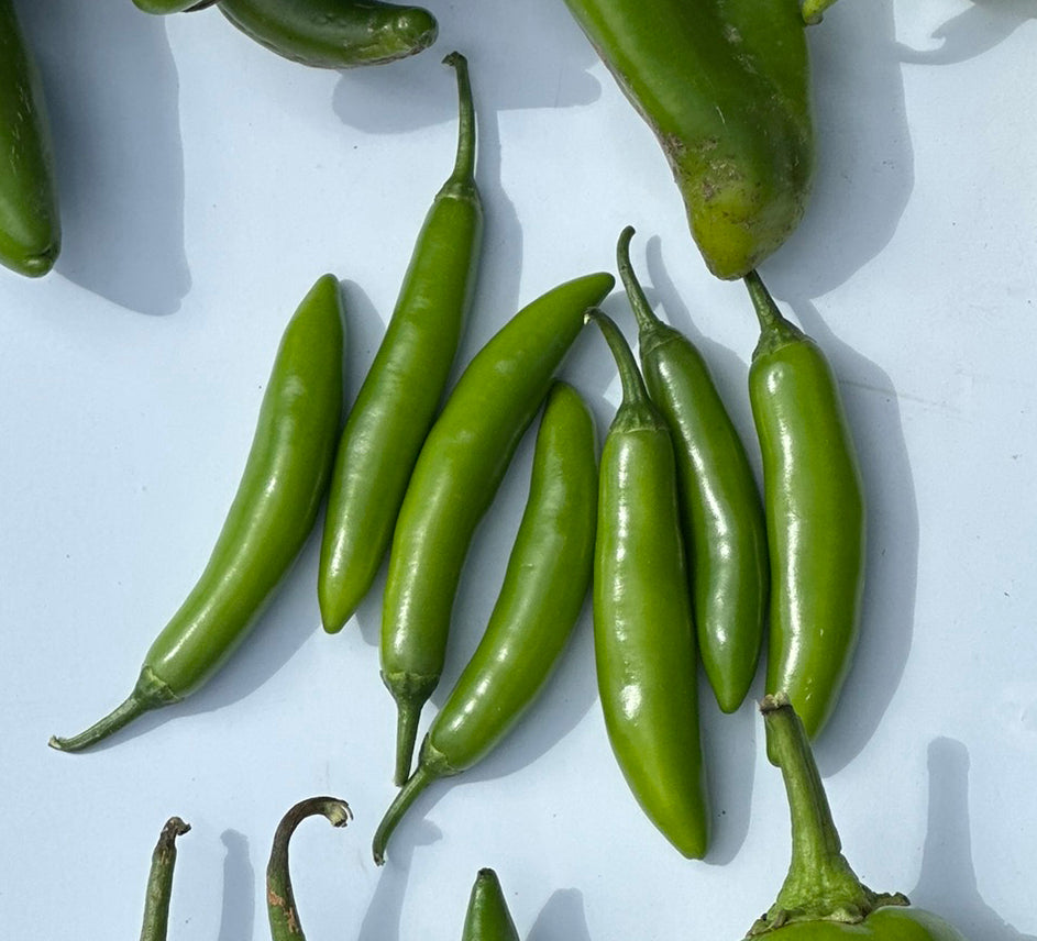 Serrano chili peppers on a white background