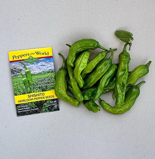 Shishito heirloom pepper seeds packet next to freshly picked peppers, ideal for gardeners seeking sweet, non-GMO Japanese pepper varieties.