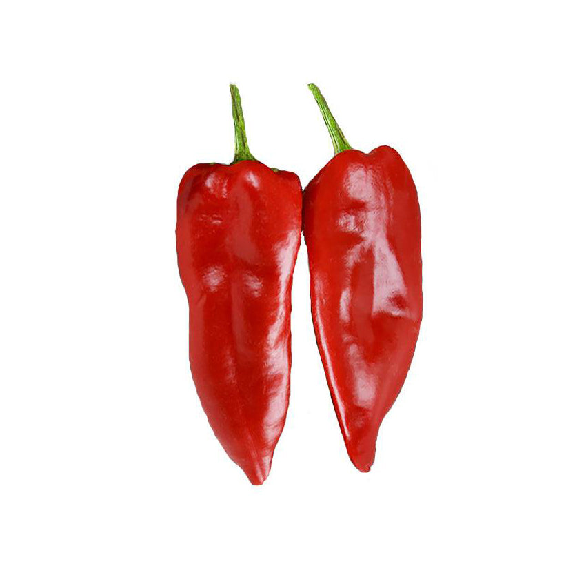 Stocky Red Roaster Seeds produce thick, sweet red peppers ideal for frying; shown are two ripe, glossy red peppers with green stems.