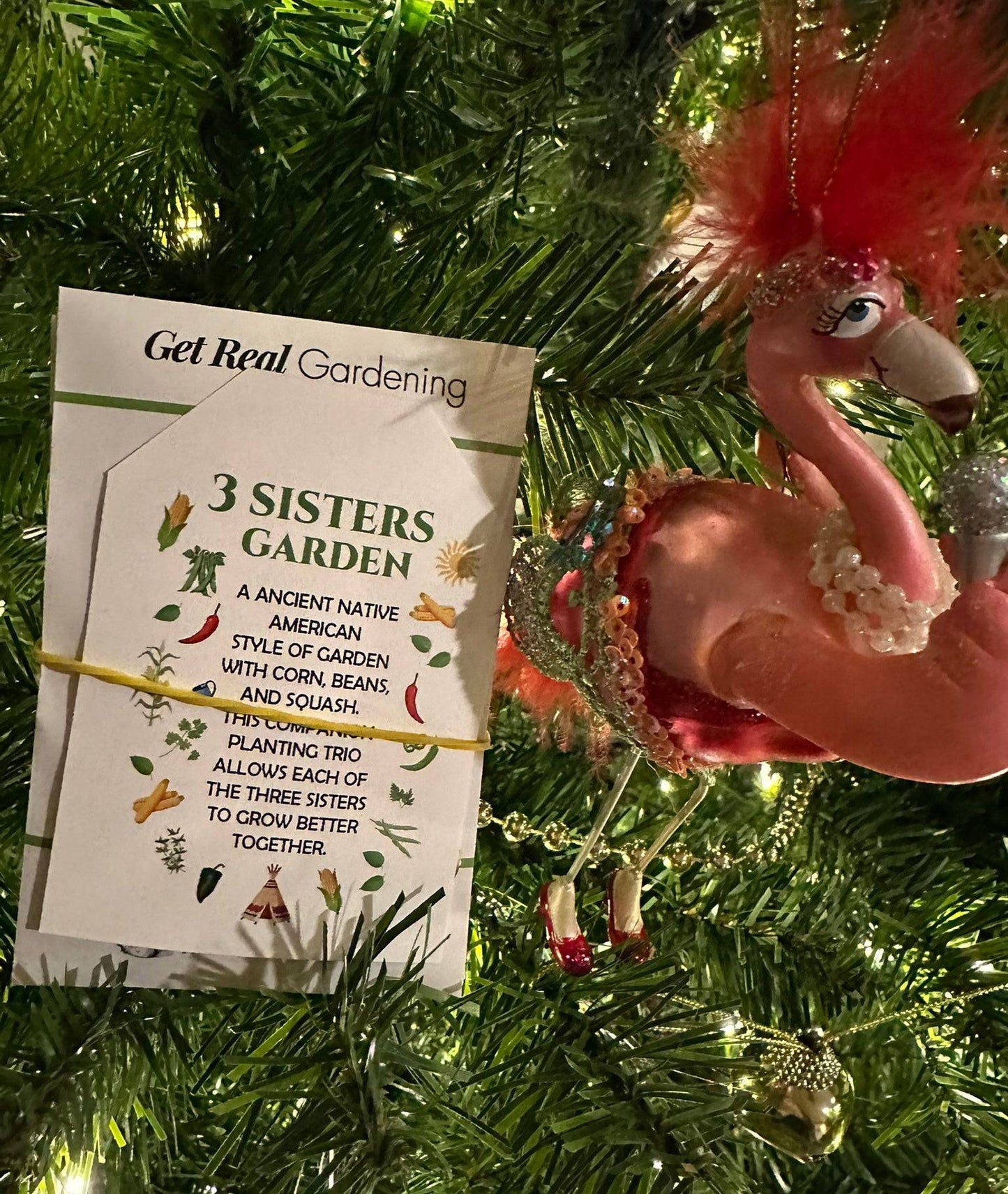 Three Sisters Garden Seeds - Companion Trio - Corn, Bean, Squash gift-ready seed pack with festive holiday decor, ideal for garden lovers.