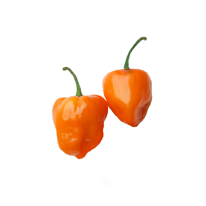 Habanero Trick or Treat NuMex - No Heat - Pepper Seeds