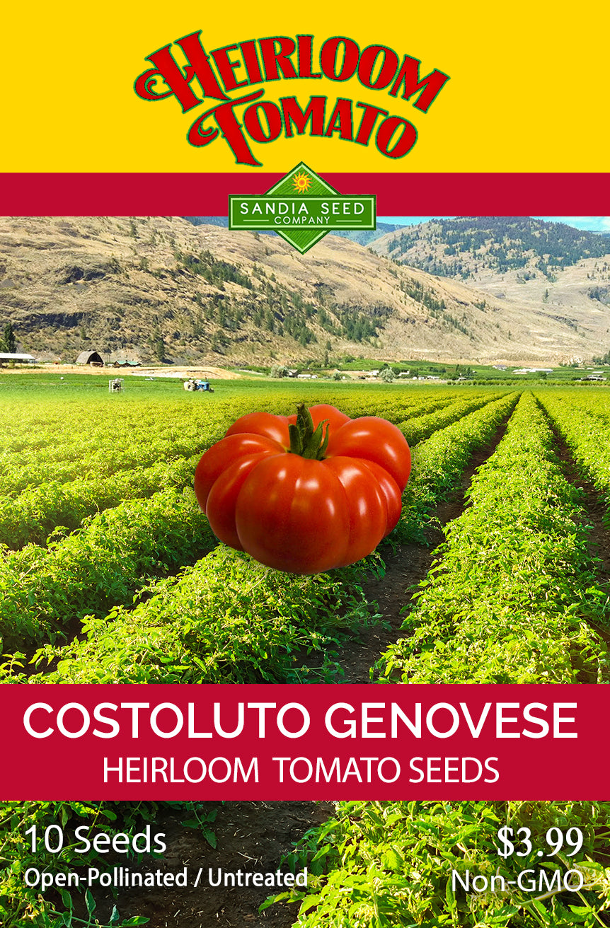 Tomato - Costoluto Genovese Heirloom Seeds