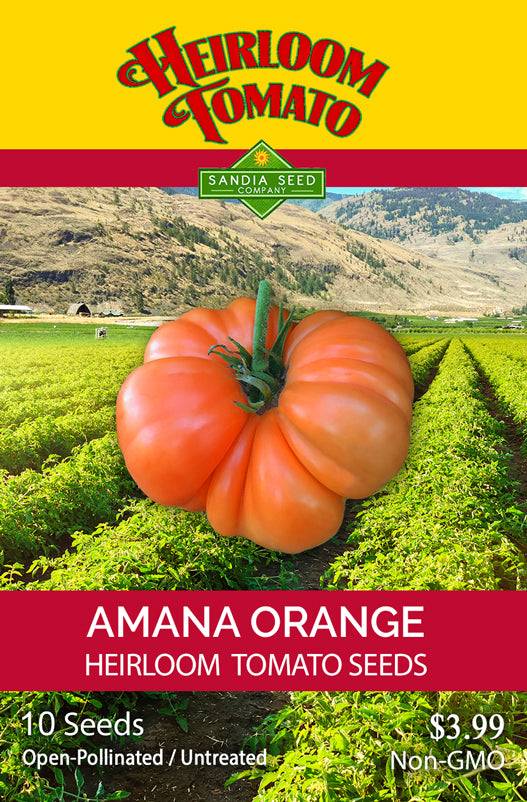 Amana Orange Heirloom Tomato Seeds packet by Sandia Seed Company, featuring sweet, non-GMO, open-pollinated tomatoes for garden planting.