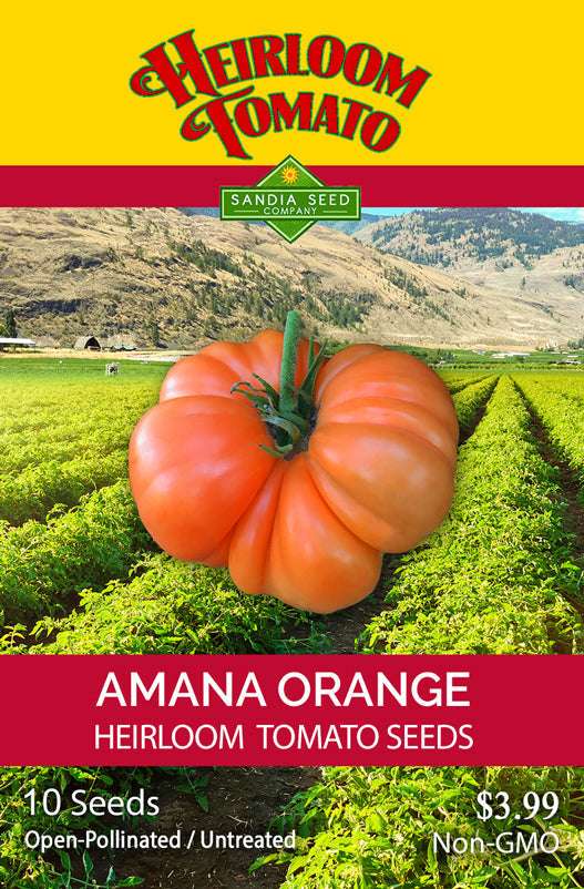 Amana Orange Heirloom Tomato Seeds packet by Sandia Seed Company, featuring sweet, non-GMO, open-pollinated tomatoes for garden planting.