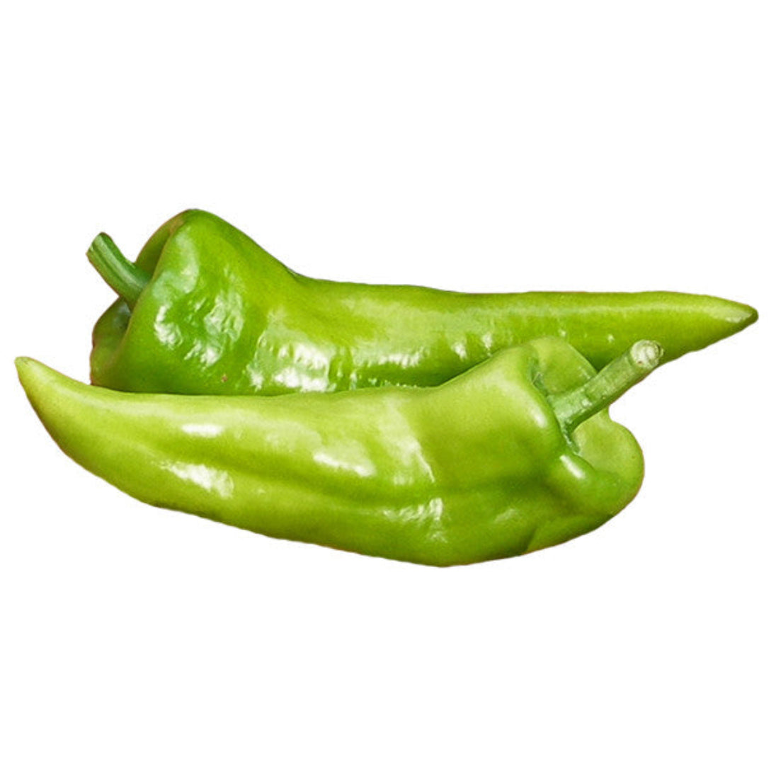 Beaver Dam Pepper Seeds - Heirloom Open Pollinated produce glossy, horn-shaped green peppers ideal for stuffing or pickling in home gardens.