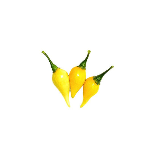Buy Yellow Biquinho Pepper Seeds - GMO-Free with mild heat and heirloom quality. Features three ripe yellow peppers with glossy skin.