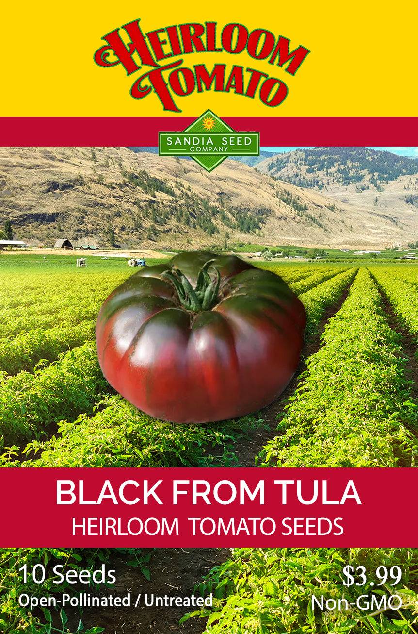Black From Tula Tomato Seeds packet by Sandia Seed Company, featuring heirloom, non-GMO, open-pollinated seeds for sweet, dark tomatoes.
