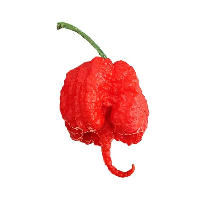Carolina Reaper Pepper () Carolina Reaper Pepper