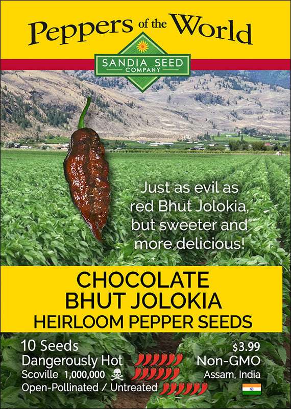 Bhut Jolokia Chocolate Seeds packet by Sandia Seed featuring heirloom ghost pepper with 1,000,000 SHU, perfect for extreme heat chili growers.