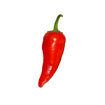 Fresno Pepper Seeds Sandia Seed Company