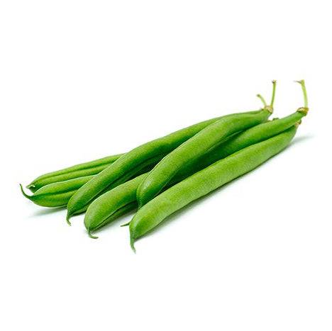 Close-up of fresh Provider Green Bush Beans, showcasing their stringless pods and vibrant green color, ideal for planting and harvesting.