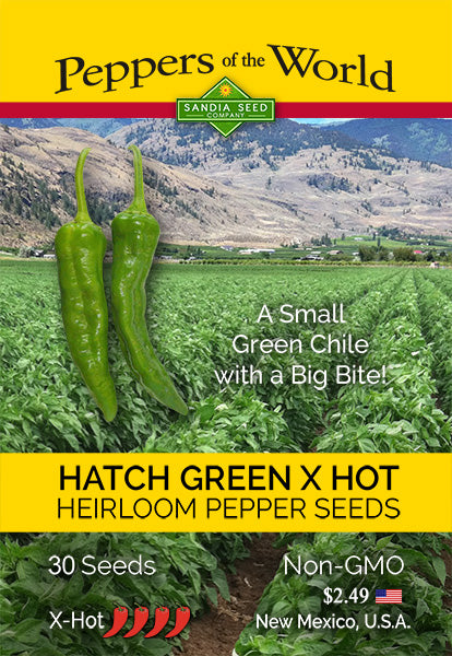 Hatch Green Chile Seeds • X-Hot • Barkers Hot - Sandia Seed Company