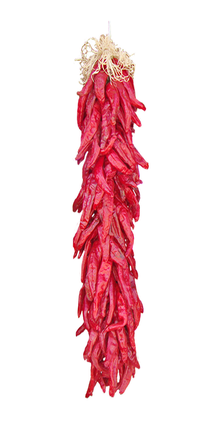 Ristra of dried Hatch Red Hot Sandia Hot chiles, perfect for drying and decorative use. Ideal for red chile powder and hot climates.