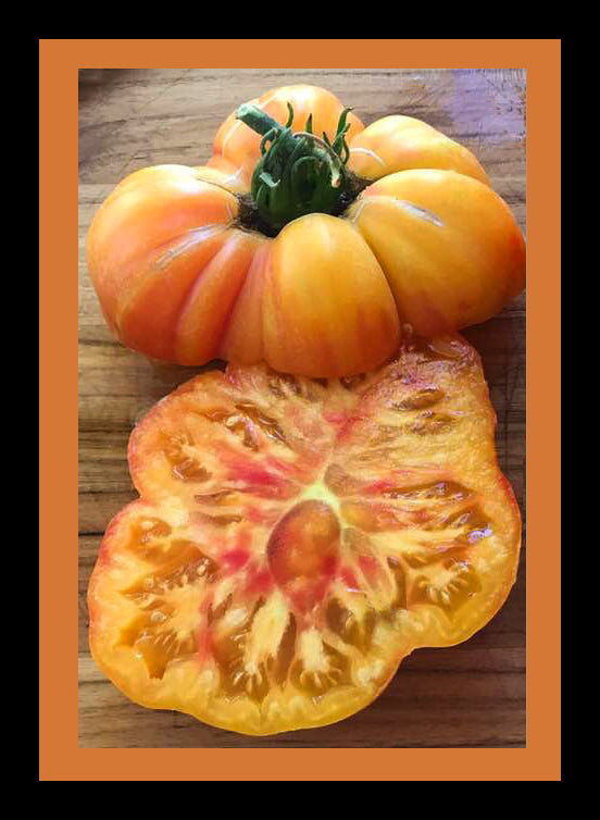 Sliced Hillbilly heirloom tomato showing vibrant yellow-orange flesh with red streaks. Grown from sweet, low-acid Hillbilly Tomato Seeds.