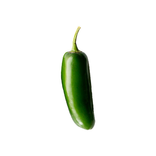 Single green Jalapeño M pepper showcasing the heirloom variety known for its bold flavor and spicy heat, ideal for home garden cultivation.