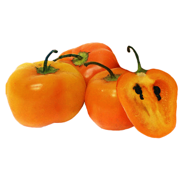 Manzano / Orange Rocoto - Heirloom Pepper Seeds - Sandia Seed Company