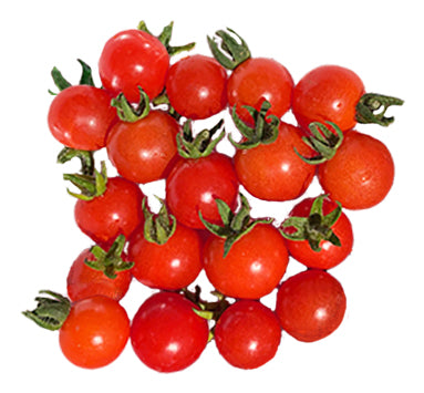 Tomato - Mexico Midget Seeds - Sandia Seed Company