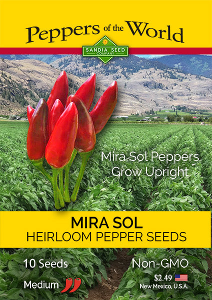 Mirasol Chile Seeds from New Mexico - Sandia Seed Company