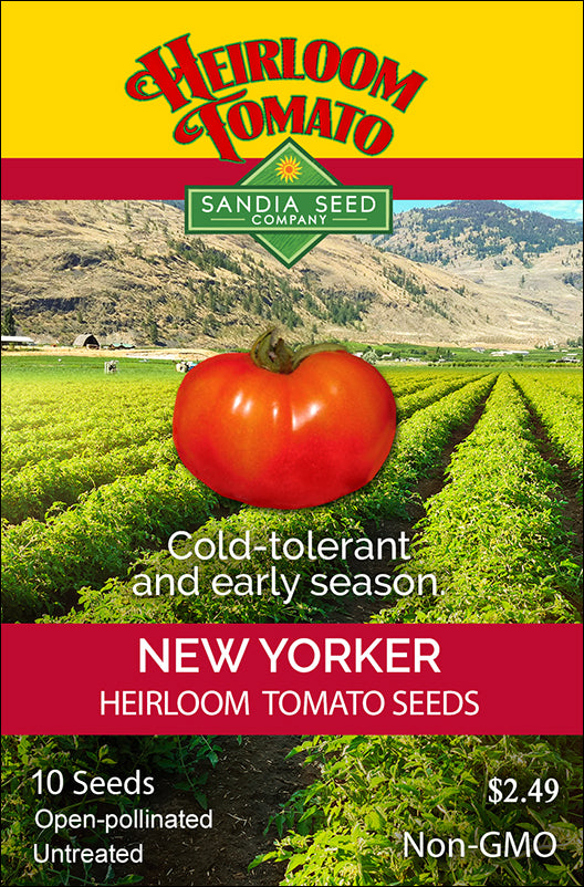 Seed packet for New Yorker Tomato Seeds by Sandia Seed Company, highlighting cold-tolerant, early-season heirloom tomatoes for short growing seasons.