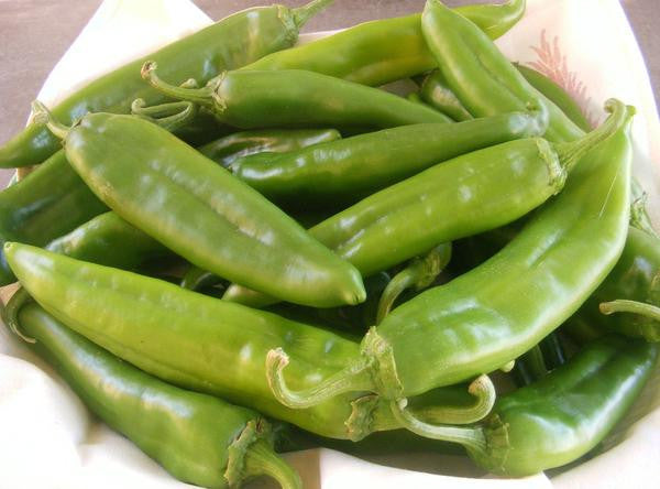 NuMex Sandia Select Green Chile Seeds - Sandia Seed Company