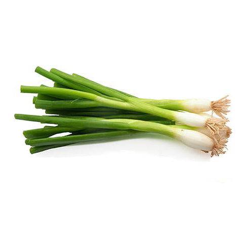 Harvested White Lisbon bunching onions with green stalks and white bulbs, known for their mild taste and quick growth from seed.