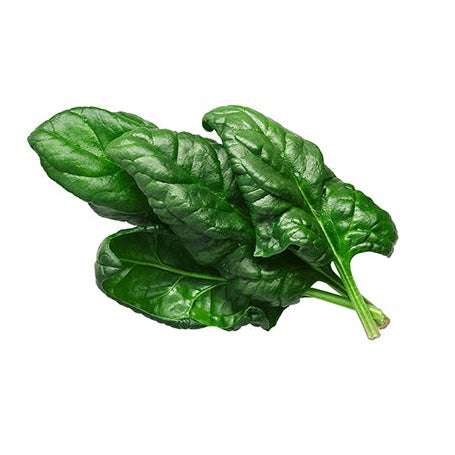 Close-up of fresh Bloomsdale spinach leaves with crinkled texture, ideal for nutritious home gardening.