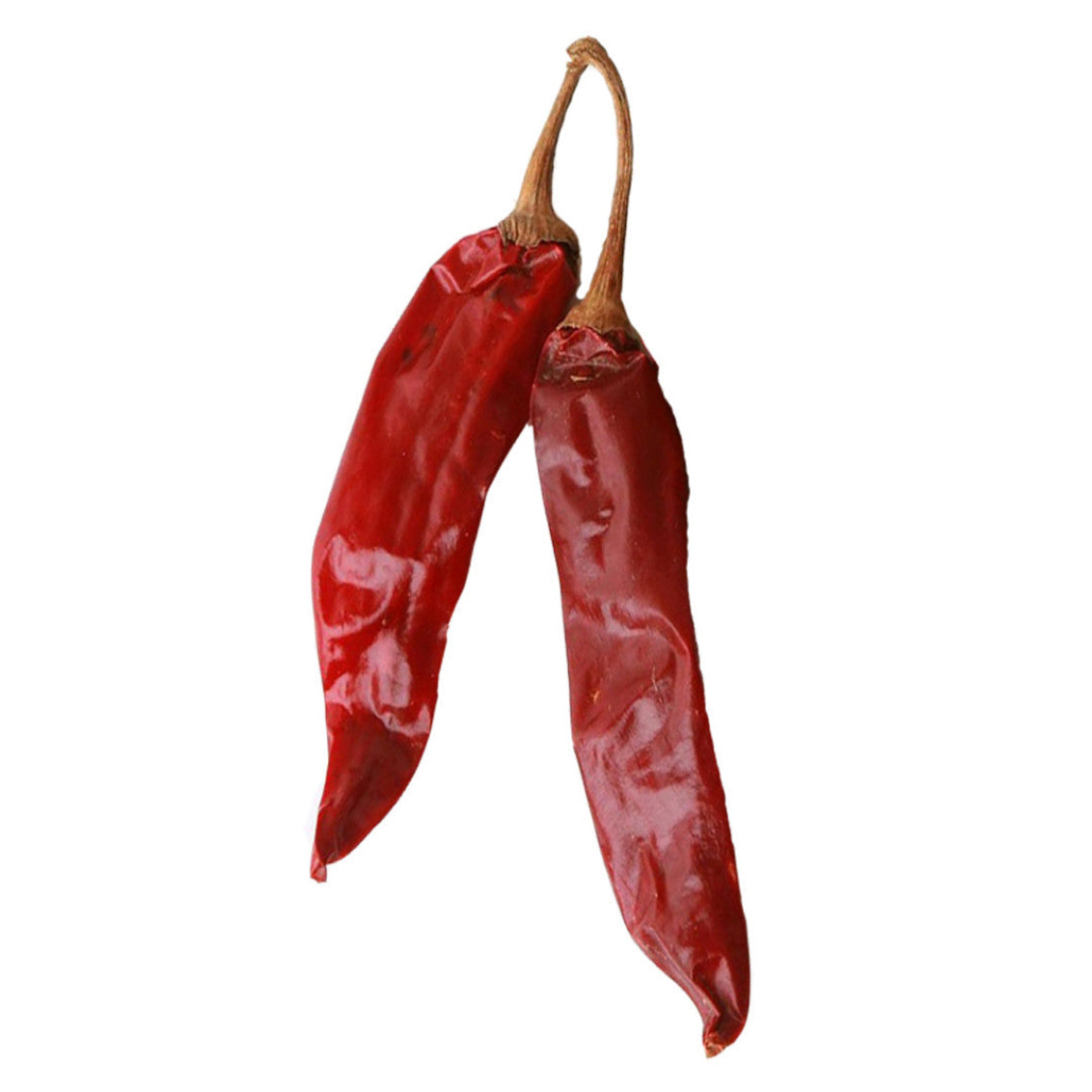 Dried Hatch Red Hot Sandia Hot chile peppers with thin skin, ideal for making red chile powder. GMO-free heirloom pepper variety.