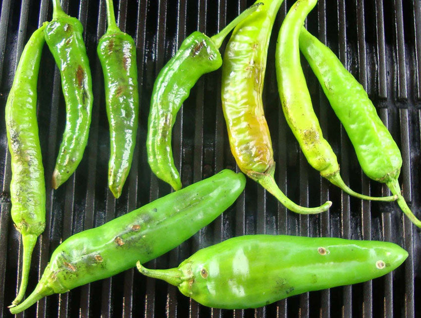 Heritage NuMex 6-4 green chiles roasting on a grill, showing blistered skin and ideal texture for traditional New Mexico dishes.