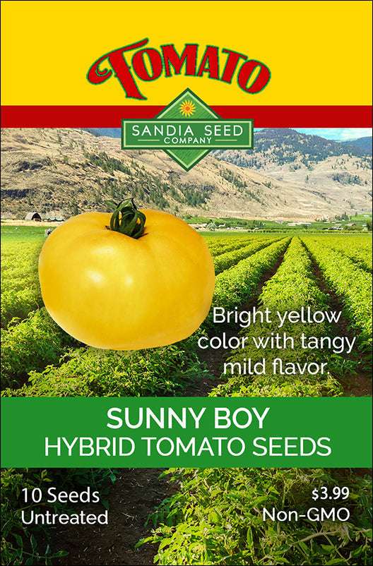 Sunny Boy hybrid tomato seed packet with yellow tomato image