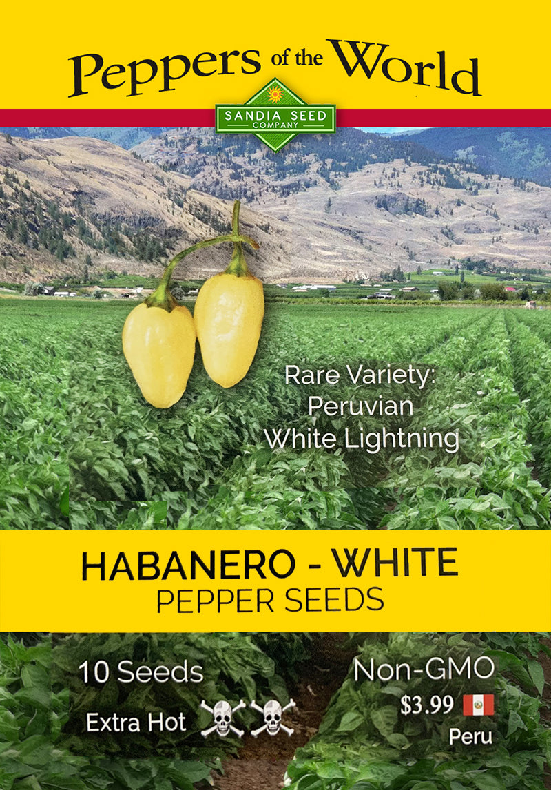 Habanero White Peruvian Lightning Pepper Seeds - Sandia Seed Company