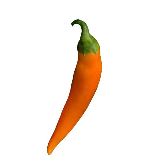 Bulgarian Carrot Pepper Seeds - Very Hot Peppers - Heirloom- single ripe orange pepper with green stem, ideal for spicy dishes and sauces.