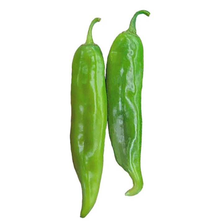 Doublecross Chile Seeds - Hatch Green produce large, meaty green pods with high heat, ideal for rellenos and home garden cultivation.