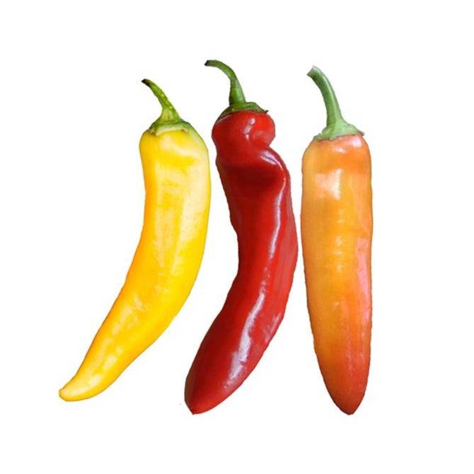 Hot Hungarian Wax Pepper Seeds produce heirloom peppers in yellow, red, and orange hues. Ideal for spicy dishes and short growing seasons.