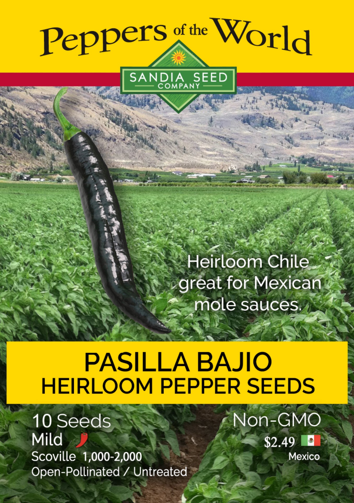 Pasilla Bajio / Chilaca Chile Seeds - Sandia Seed Company