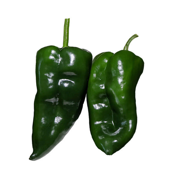 Poblano Ancho Gigantea Pepper Seeds