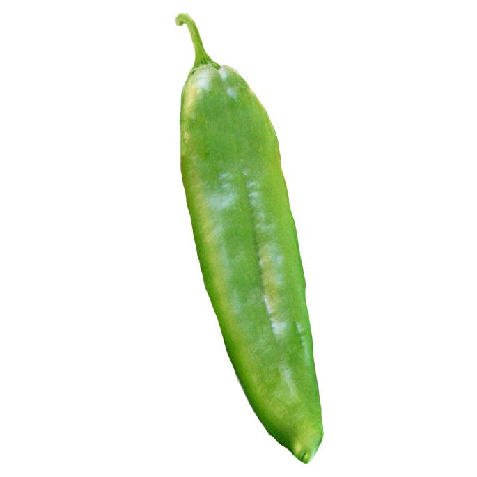 NuMex Sandia Select Green Chile Seeds - Sandia Seed Company