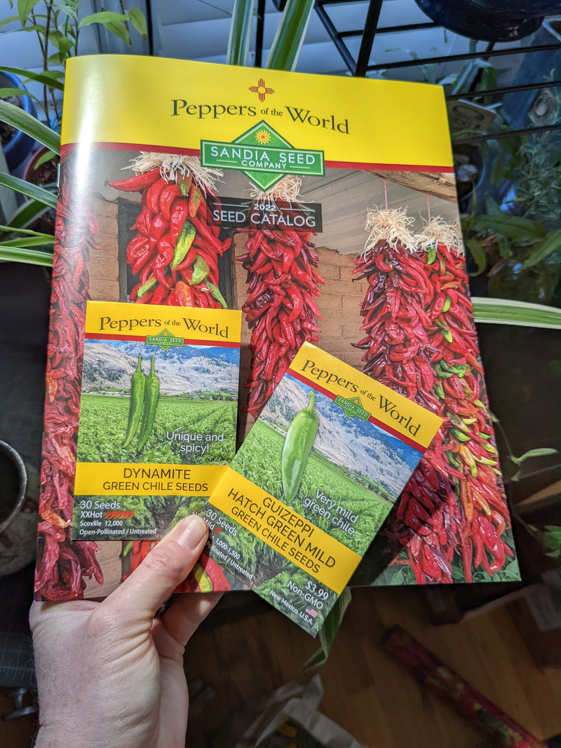 New Green Chile Seeds with Sandia Seed Catalog: A hand holding a packet of green chile seeds from Sandia Seed Company, featuring colorful peppers and a scenic landscape on the label, ideal for gardening enthusiasts.