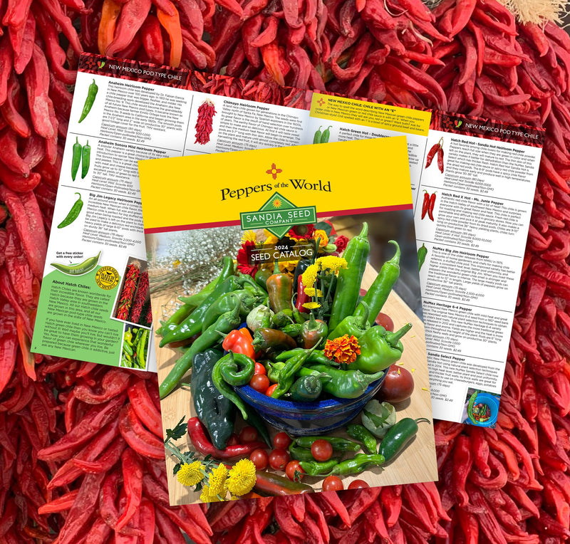 A vibrant display of red chili peppers with seed catalogs from Peppers of the World, showcasing various heirloom and hot pepper varieties.