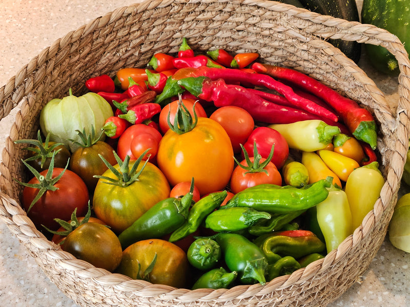Fastest Growing Vegetables - Peppers and Tomatoes for Short Seasons