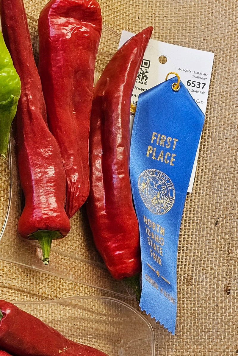 Award-winning red chili peppers with a blueFirst Place" ribbon from the North Dakota State Fair, displayed on burlap fabric.