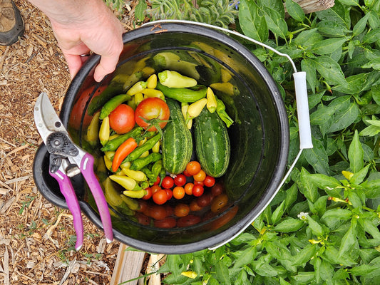 Benefits of Gardening