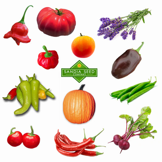 Discounted Seeds