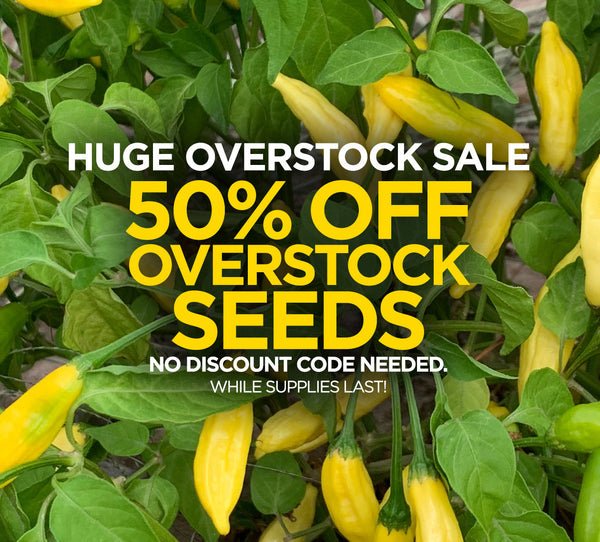 HUGE OVERSTOCK SEED SALE - DISCOUNT SEEDS!