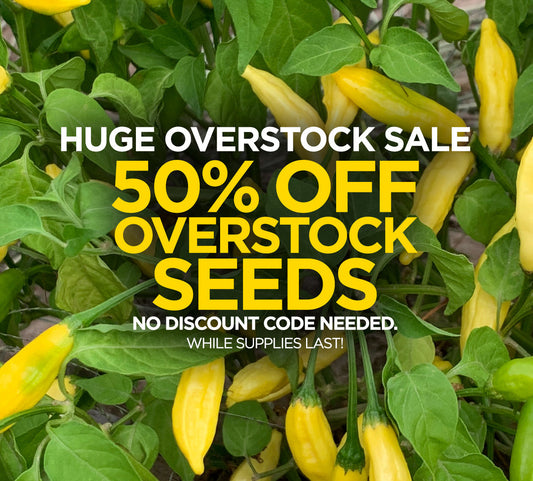 HUGE OVERSTOCK SEED SALE - DISCOUNT SEEDS!