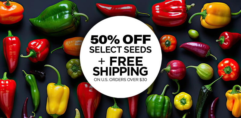 Seed promo Code: 50 percent off